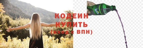 индика Богородск