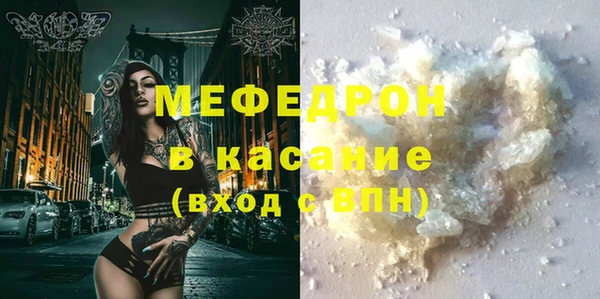 индика Богородск