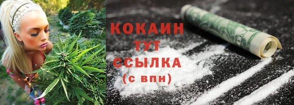 индика Богородск