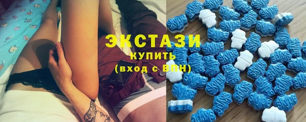 индика Богородск