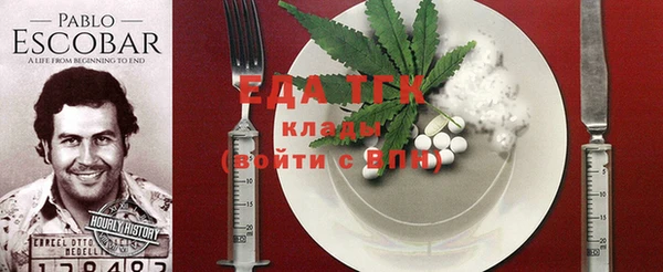 индика Богородск