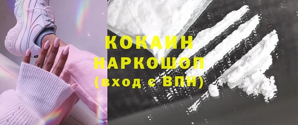 индика Богородск